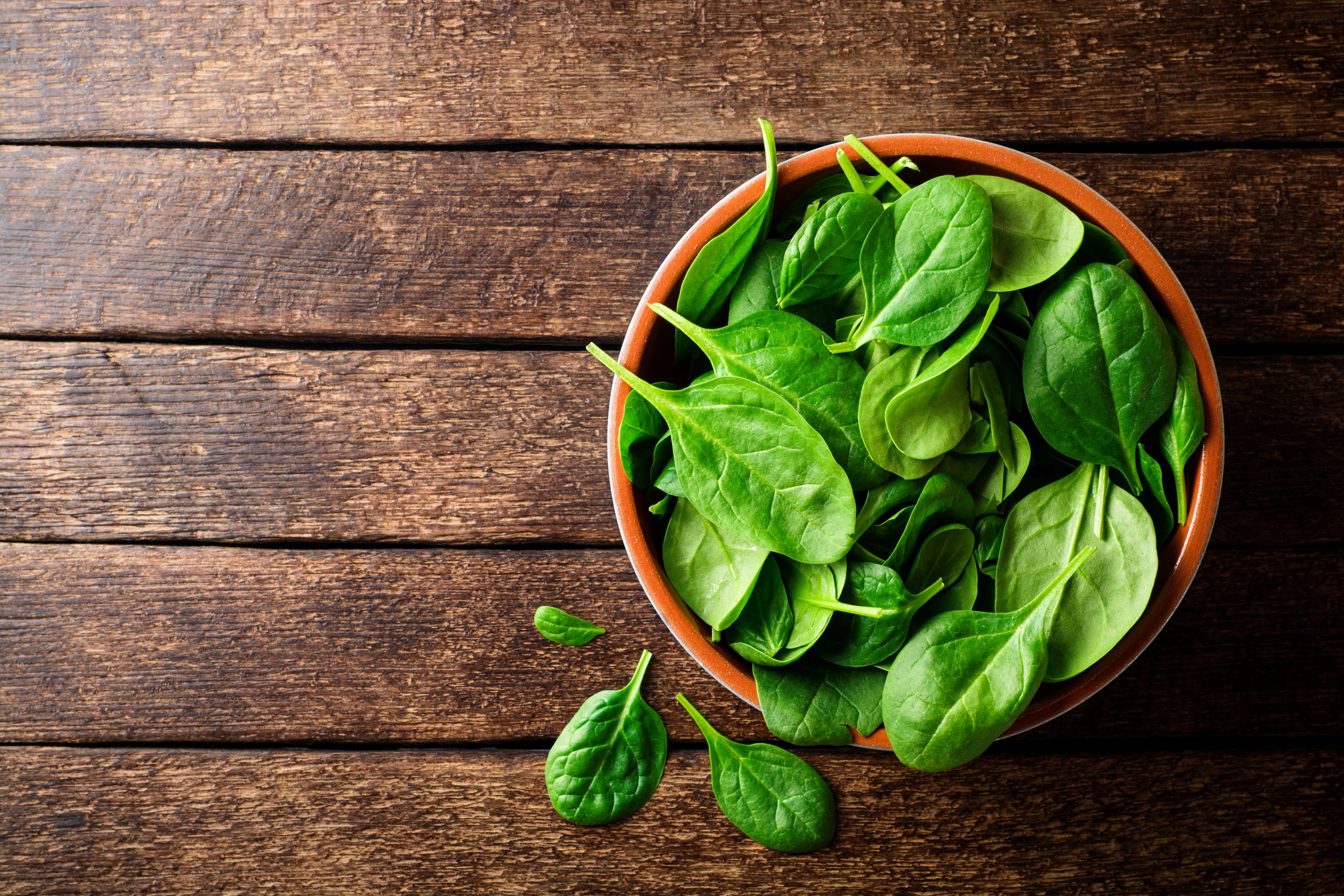 Pasta agli spinaci: un pieno di energia ideale anche per i più piccoli