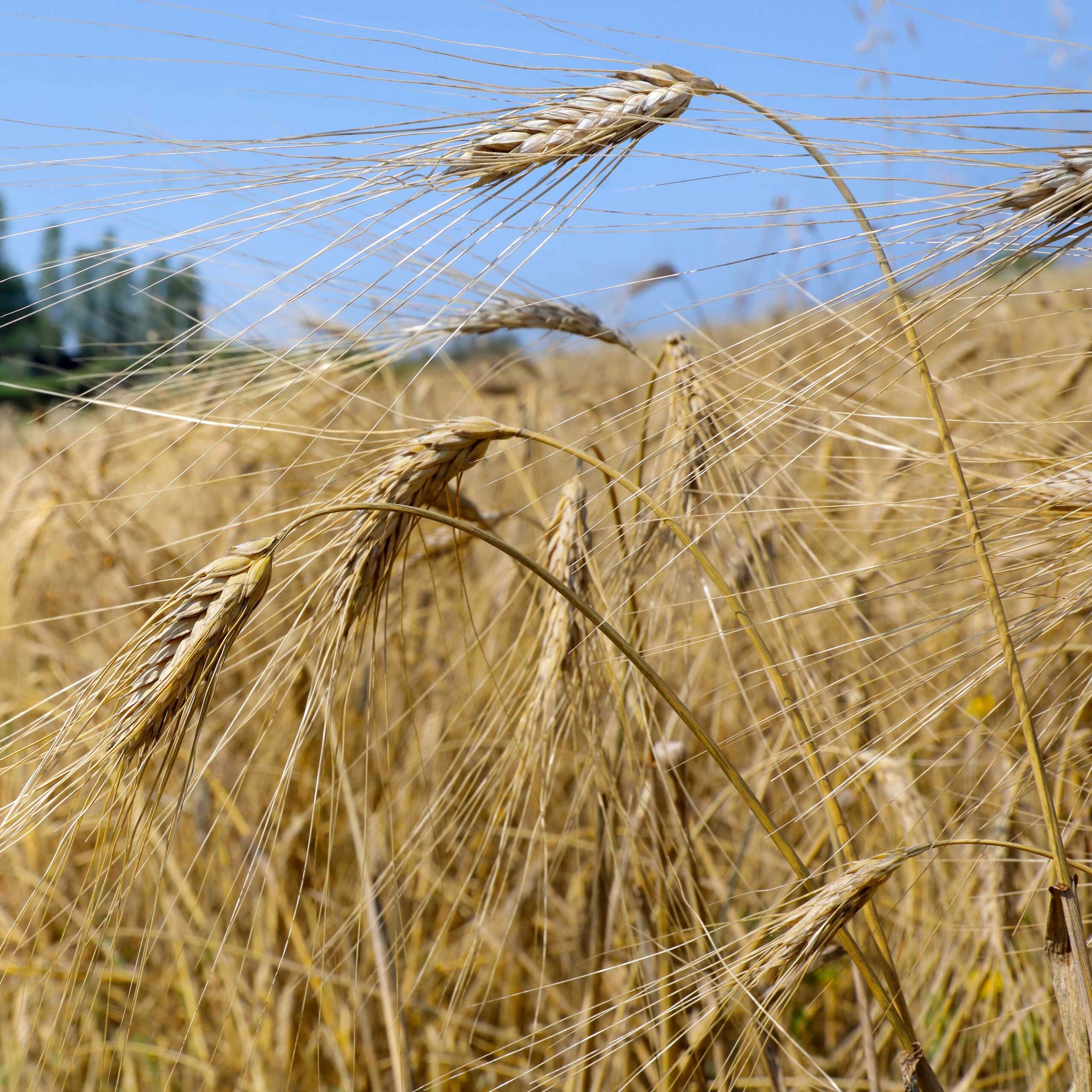 La nostra visione